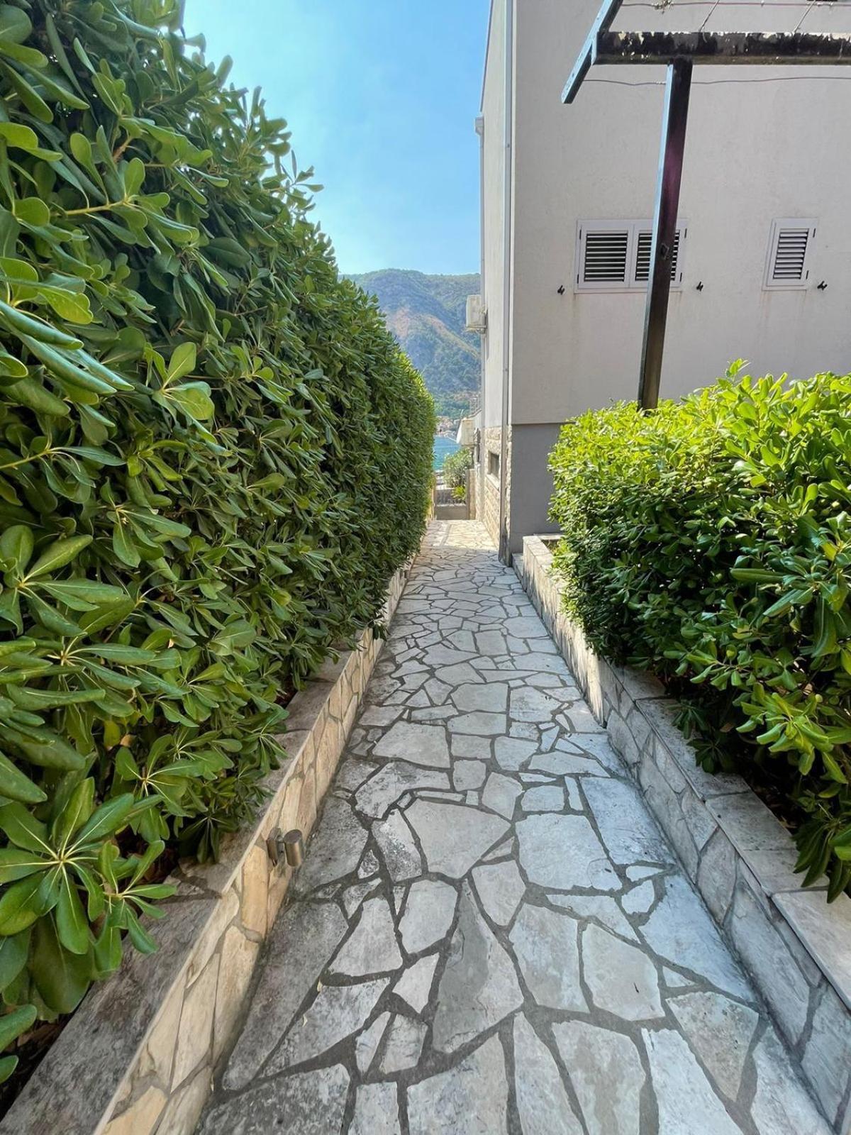 Bjelica Apartments Kotor Bagian luar foto