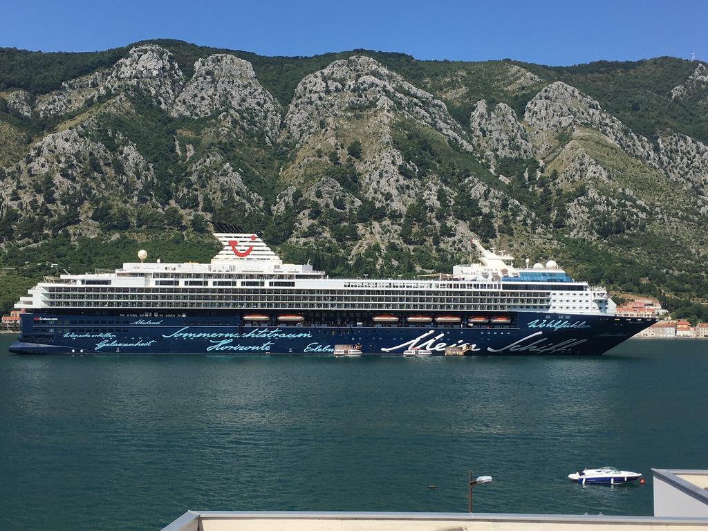 Bjelica Apartments Kotor Bagian luar foto