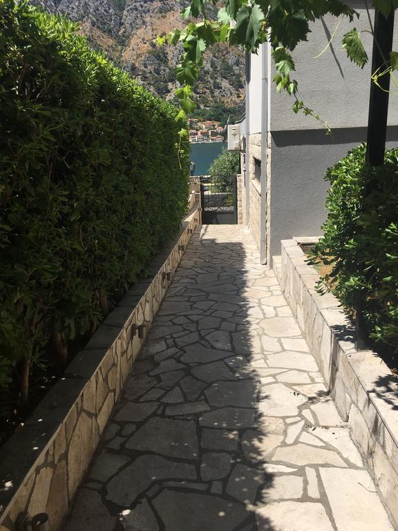Bjelica Apartments Kotor Bagian luar foto